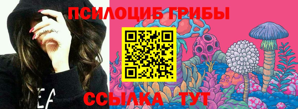 Псилоцибиновые грибы GOLDEN TEACHER  Вход с VPN  Азнакаево  купить наркотики сайты  Галлюциногенные грибы Psilocybine cubensis 
