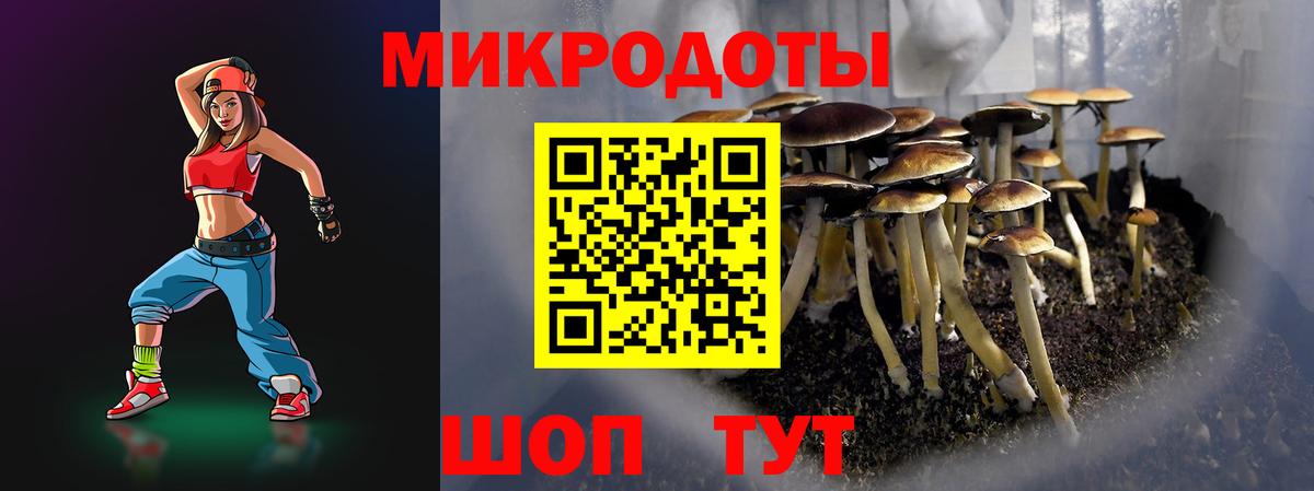 Псилоцибиновые грибы Psilocybe Азнакаево
